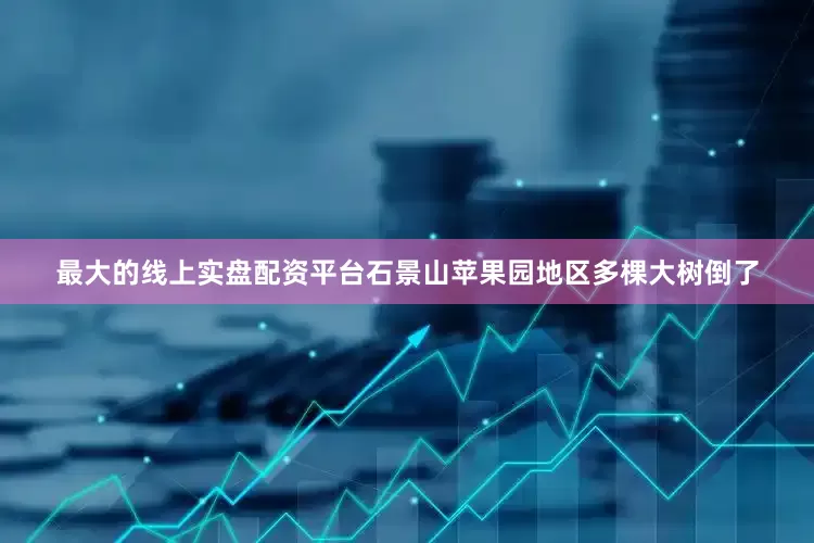最大的线上实盘配资平台石景山苹果园地区多棵大树倒了