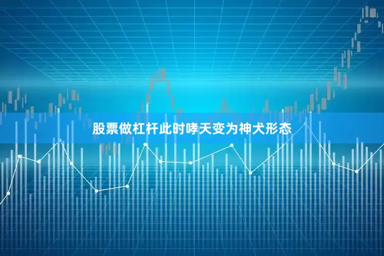 股票做杠杆此时哮天变为神犬形态
