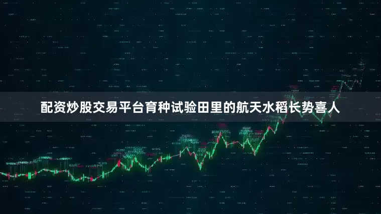 配资炒股交易平台育种试验田里的航天水稻长势喜人